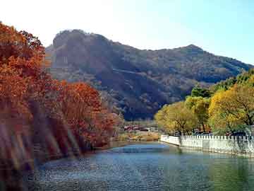 新澳门二四六天天彩，丰田发动机